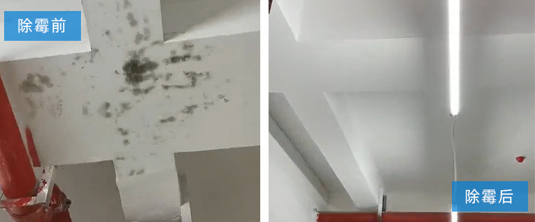 墻體發霉給人帶來的危害