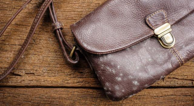 防止皮革發霉的辦法！