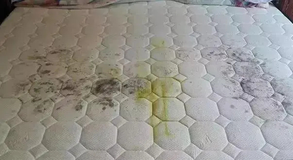 床墊發霉了怎么辦？內行人是這么做的