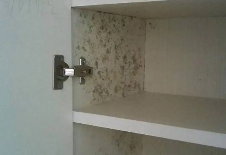 衣柜發(fā)霉了怎么辦？
