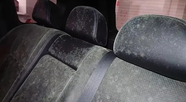 汽車內(nèi)飾發(fā)霉是什么原因？該怎么辦?