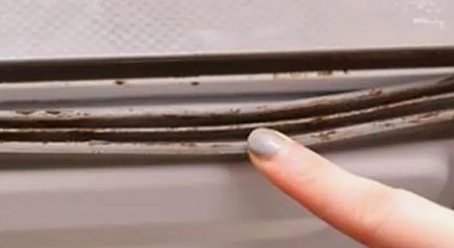 冰箱密封條發霉不知道該如何處理？來聽聽除霉劑廠家怎么說