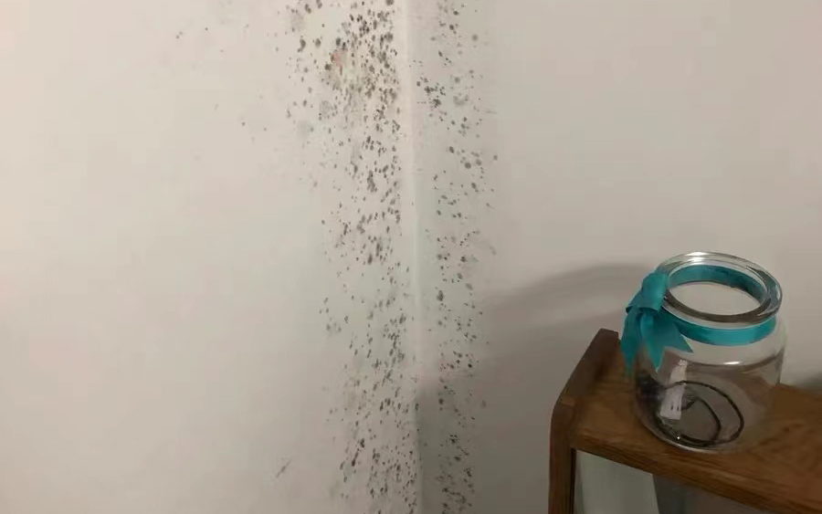 墻面發霉怎么處理?教你一招自己在家就能解決