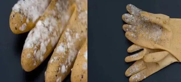塑膠手套發(fā)霉了怎么辦？工廠必看塑膠手套防霉方案！