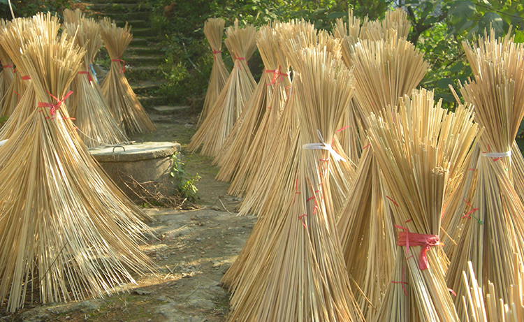 贊譽(yù)防霉 贊譽(yù)防霉