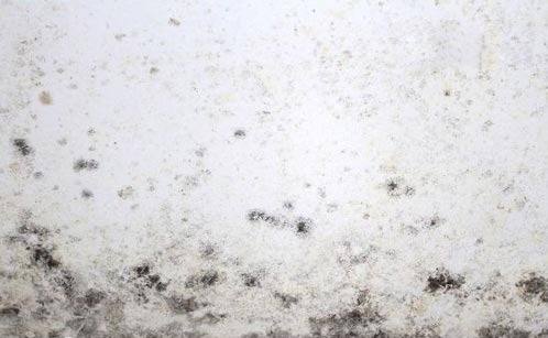 墻面發霉 墻面發霉