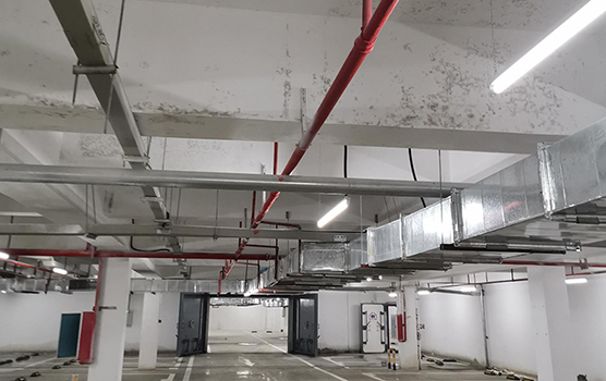 地下車庫發霉 地下車庫發霉