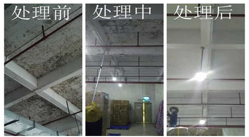 除霉前后對比 除霉前后對比