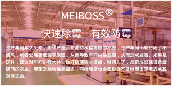 生產車間專用除霉劑 生產車間專用除霉劑