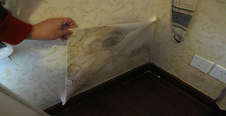 墻紙發(fā)霉 墻紙發(fā)霉