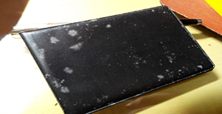 錢包發霉 錢包發霉