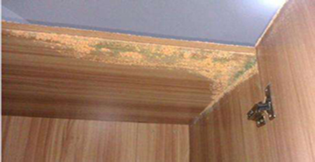 柜子發霉 柜子發霉