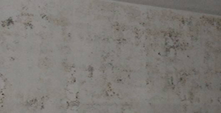 墻壁發(fā)霉 墻壁發(fā)霉
