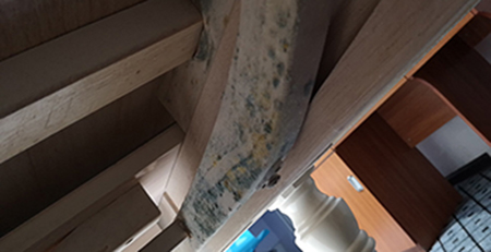 家具發霉 家具發霉