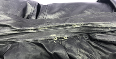 皮革發霉 皮革發霉