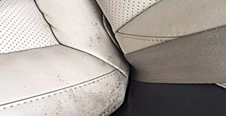 坐墊發霉 坐墊發霉