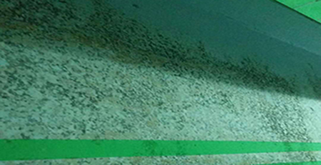 車庫墻壁發(fā)霉 車庫墻壁發(fā)霉