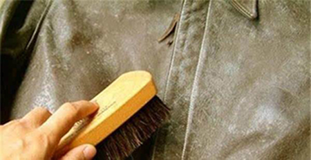 皮革發霉 皮革發霉