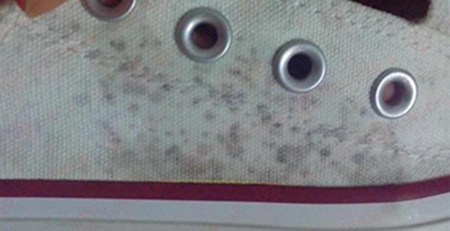 發霉的帆布鞋 發霉的帆布鞋