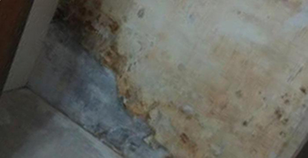 廁所墻壁發霉 廁所墻壁發霉