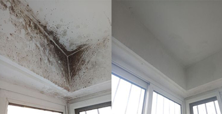墻面發霉-除霉效果對比圖