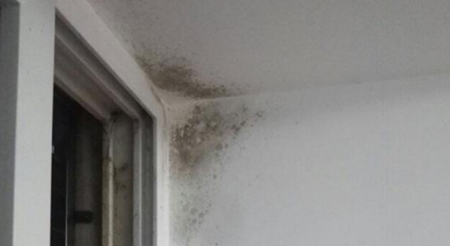 白墻發霉2.jpg