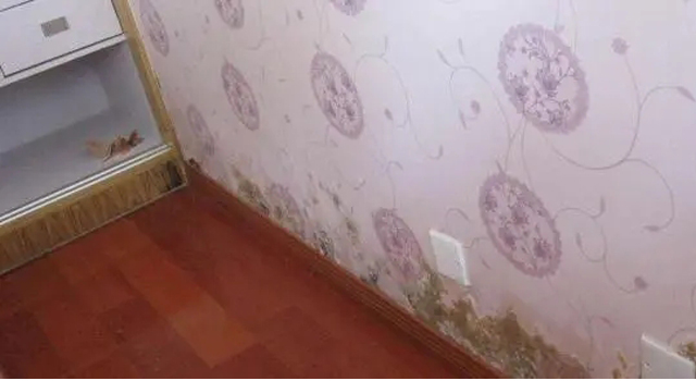 墻布發霉.jpg